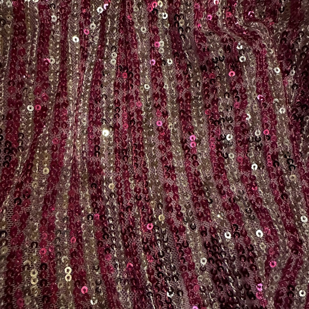 Sequin Main Strip Jacket - image 4